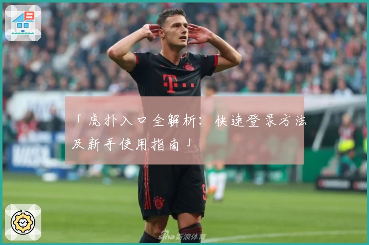 「虎扑入口全解析：快速登录方法及新手使用指南」