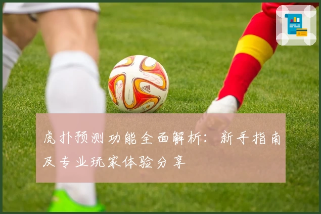 虎扑预测功能全面解析：新手指南及专业玩家体验分享