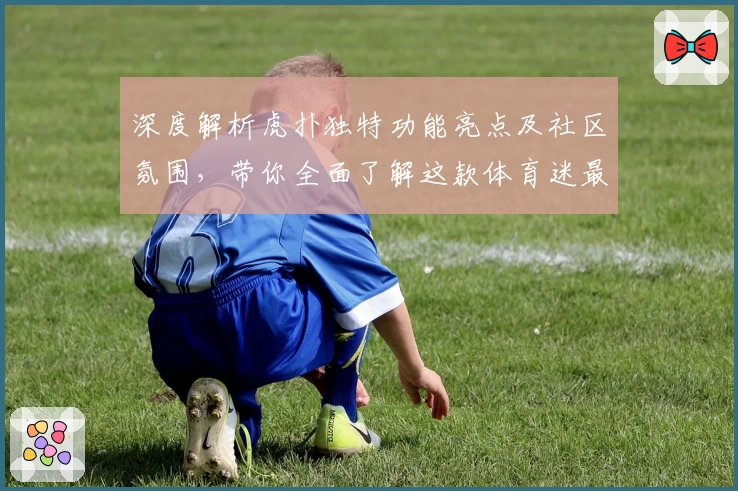 深度解析虎扑独特功能亮点及社区氛围,带你全面了解这款体育迷最爱的交流平台