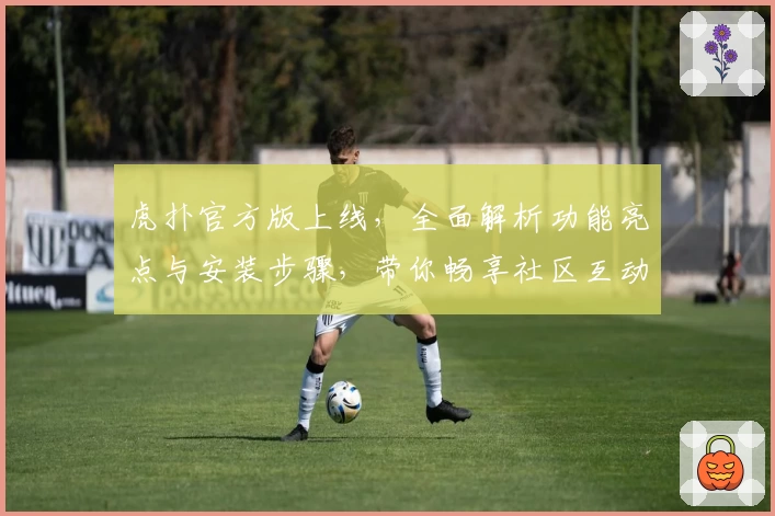 虎扑官方版上线，全面解析功能亮点与安装步骤，带你畅享社区互动新体验